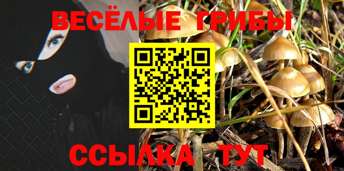 Псилоцибиновые грибы мухоморы Дубна